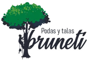 Tala y poda en altura. Poda árboles Toledo