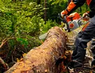 Tala y poda de árboles en altura poda y tala de árboles en altura