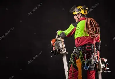 Arborista realizando poda en altura en un jardín privado