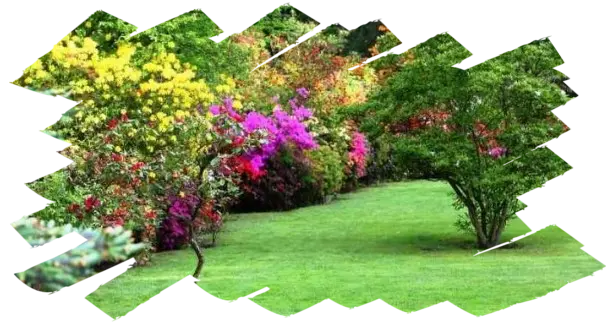 Mantenimiento de jardines