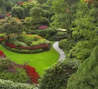 Arboricultura de Élite para un Paisaje Perfecto" Arboricultura para un Paisaje Perfecto"