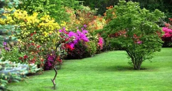 Tecnología en Riego: Eficiencia y Comodidad para Tu Jardín Eficiencia y Comodidad para Tu Jardín