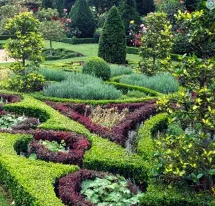 Arboricultura a tu Alcance para un Jardín Impresionante